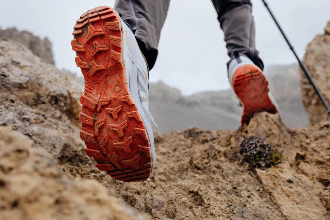 Men's Mountain Hiking Shoes Low - MH500